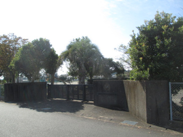 和田岡小学校の画像3