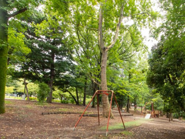 林試の森公園の画像1