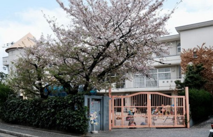 メグミ幼児園の画像1
