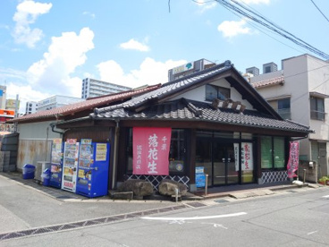 渡辺園の画像1