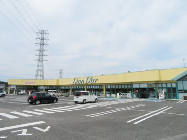 リオン・ドール高根沢店の画像2