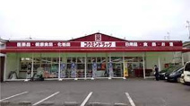 ワッツウィズ泉ケ丘コクミン店