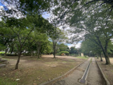 千葉市 美しの森公園