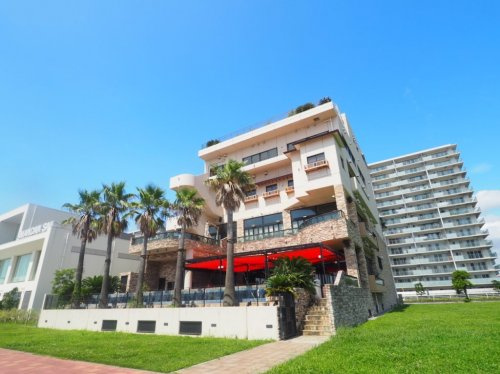 オーシャンテーブル