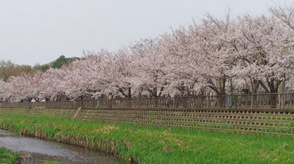 谷戸橋広場の画像1