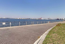 シーサイドコスモ