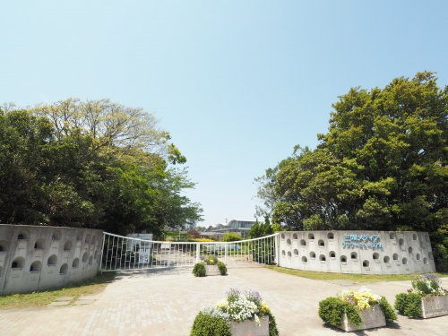 三陽メディアフラワーミュージアム(千葉市花の美術館)の画像