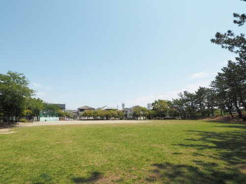 北高浜公園の画像