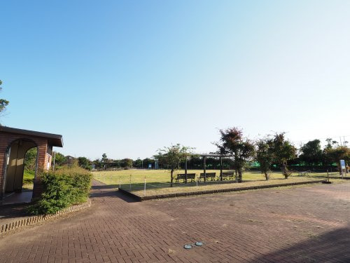 美浜ふれあい広場野球場