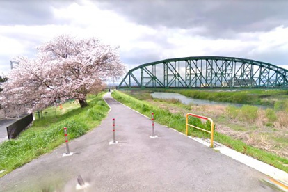宇治川 堤防の画像1