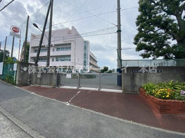 山王台小学校の画像1