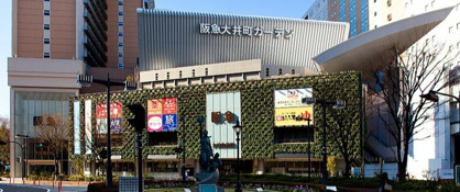 ドラッグセガミ大井町ガーデン店の画像1