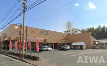 新生堂薬局 島崎店の画像1