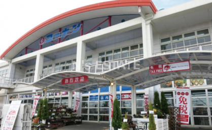 ホームセンターコーナンハーバーランド店の画像1