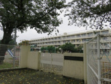 南白糸台小学校