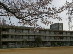 平田小学校の画像1