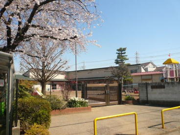 白菊保育園の画像2