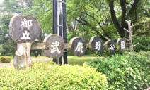武蔵野公園