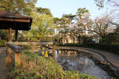西河原自然公園の画像1