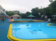 しらゆり公園プールの画像