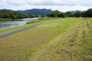 矢原河川公園の画像1