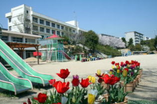高丘西小学校の画像1