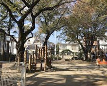 公園 豊島区立雑司が谷公園