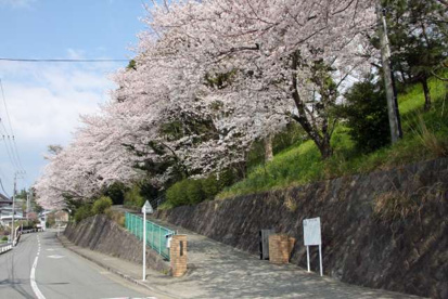 小田原市立城南中学校の画像1