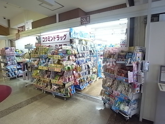 の画像