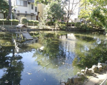 世田谷区立つりがね池公園