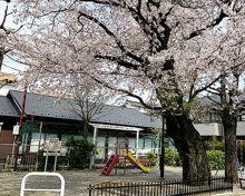 世田谷区立祖師谷六丁目南公園
