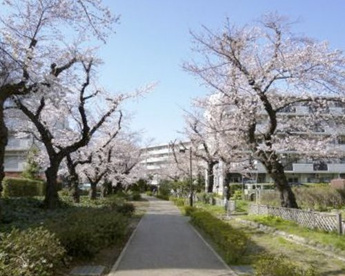 烏山川緑道の画像1