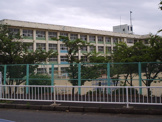 朝霧小学校