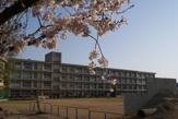 二見小学校
