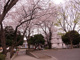 しらとり台第二公園の画像