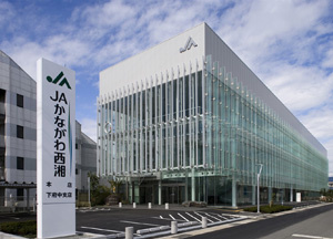 JAかながわ西湘 足柄支店野菜直売所の画像1