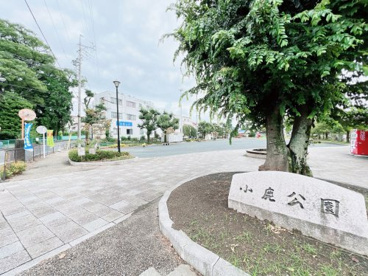 小鹿公園の画像1