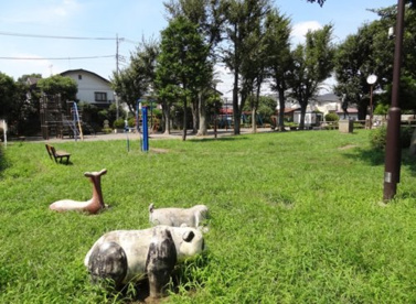 上祖師谷パンダ公園の画像1