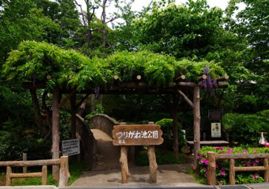 つりがね池公園の画像1
