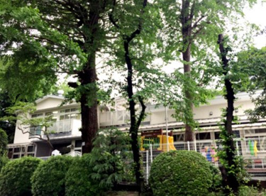 第一保育園の画像1