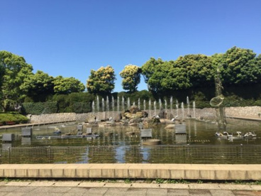 埼玉県立北浦和公園の画像1