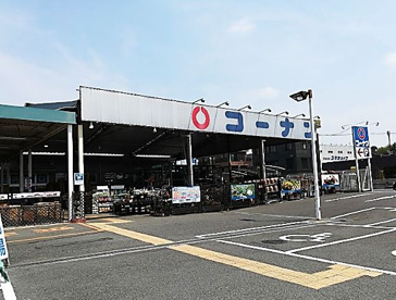 ホームセンターコーナン 岸和田三田店の画像1