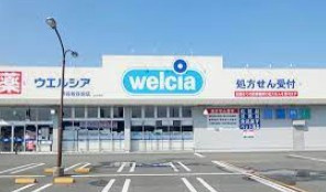 ウエルシア熊谷佐谷田店の画像1