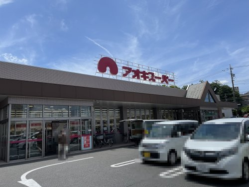 の画像