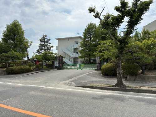 の画像