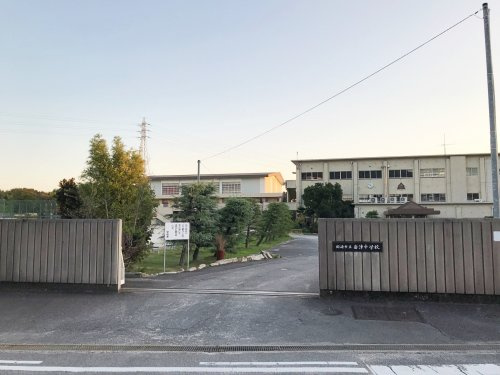 の画像