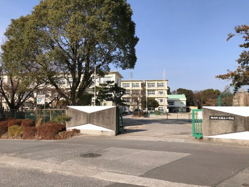 の画像