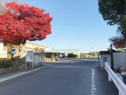 の画像