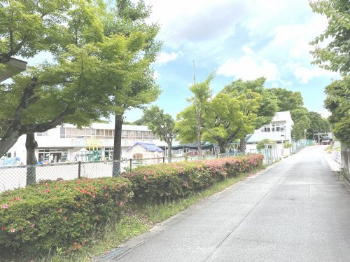 の画像