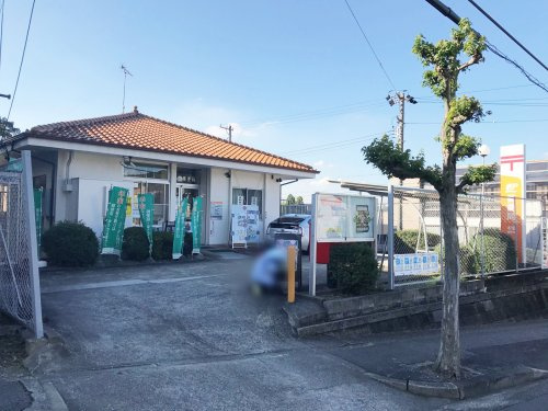 の画像